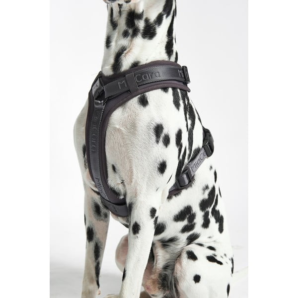 Tumehall traksid L pikkus 42 cm Modena Asphalt L – MiaCara-image-2