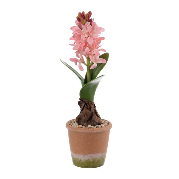 Kunsttaim (kõrgus 29 cm) Hyacinth - Ixia