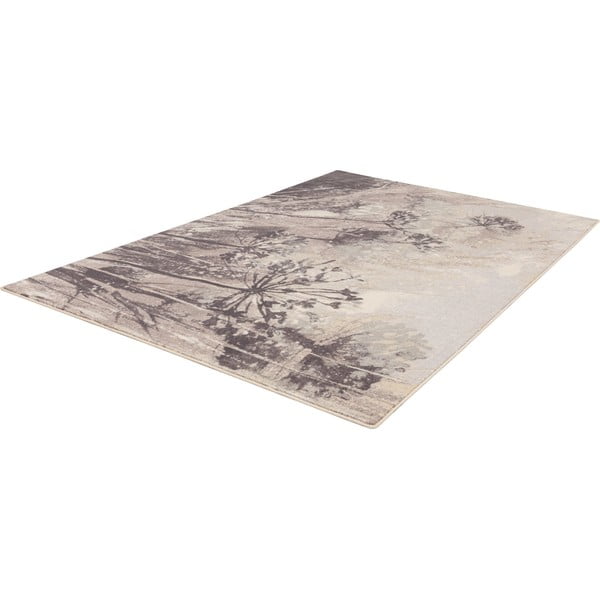 Kreem-hall villane vaip 160x240 cm Lissey - Agnella-image-4