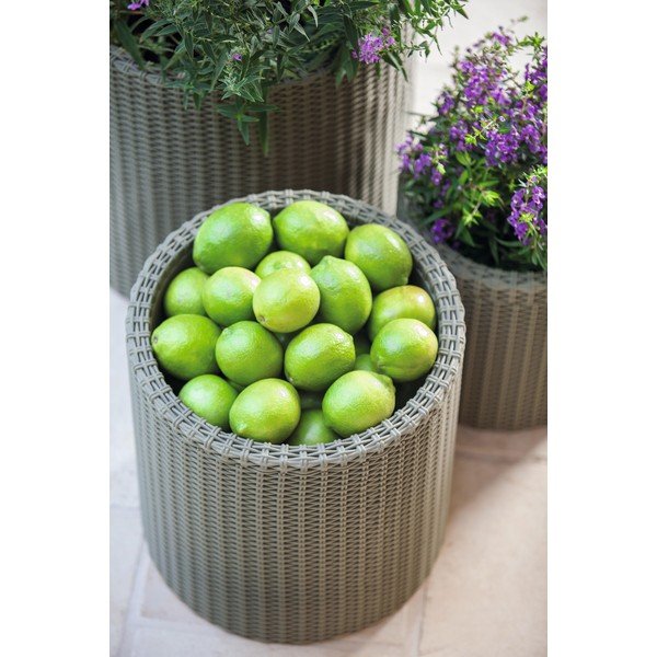 Hall istutuspott, ø 35 cm - Keter-image-1