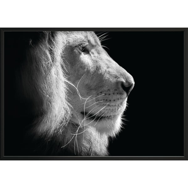 Must-valge plakat, 70 x 50 cm Lion King - DecoKing