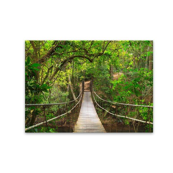 Obraz Styler Glas Nature Forest Bridge, 80 x 120 cm