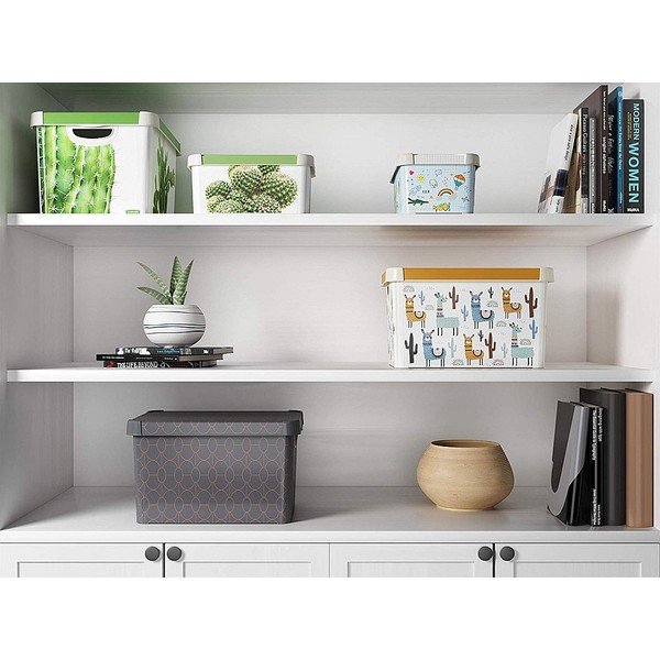 Tumehall kaanega hoiukast , 22 l Art Deco - Curver-image-1