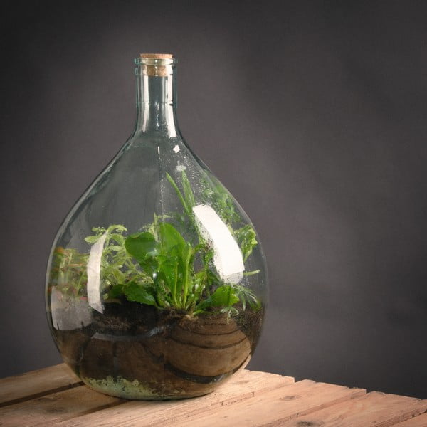 Terraarium ø 30 cm – Esschert Design-image-1