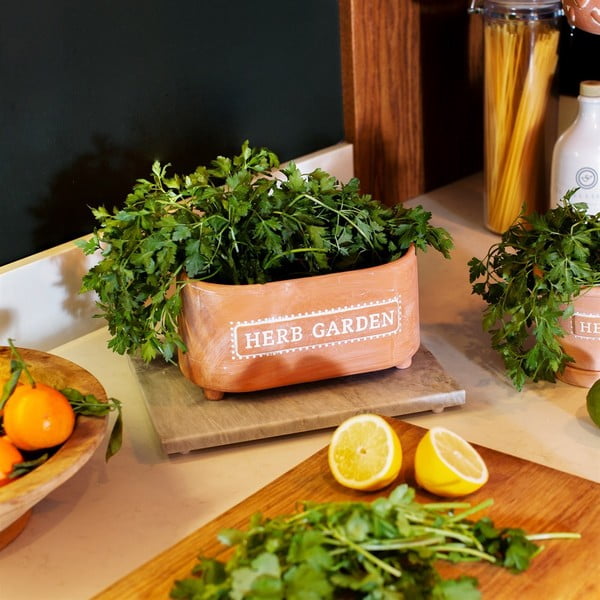 Terrakotast pott, pikkus 23 cm Herbs - Sass & Belle-image-1