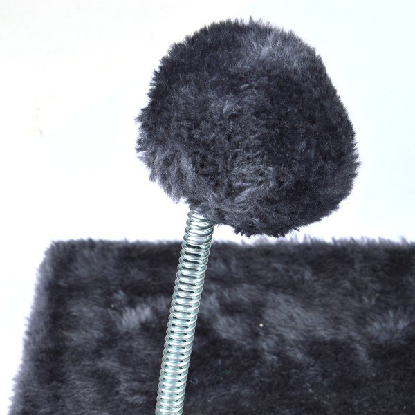 Kasside puhkepaik – Love Story-image-4