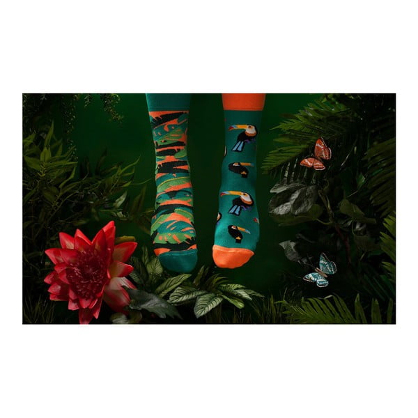 Sokid , suurus 43-46 Tropical Heat - Many Mornings-image-2