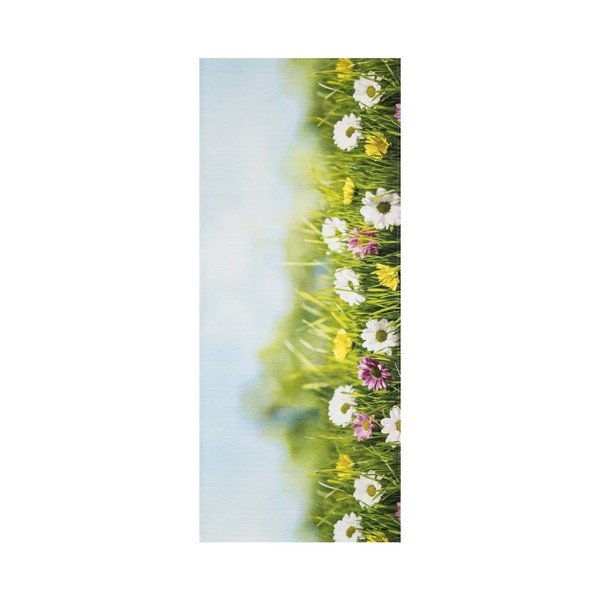 Vysoce odolný běhoun Webtappeti Campo, 58 x 140 cm-image-1