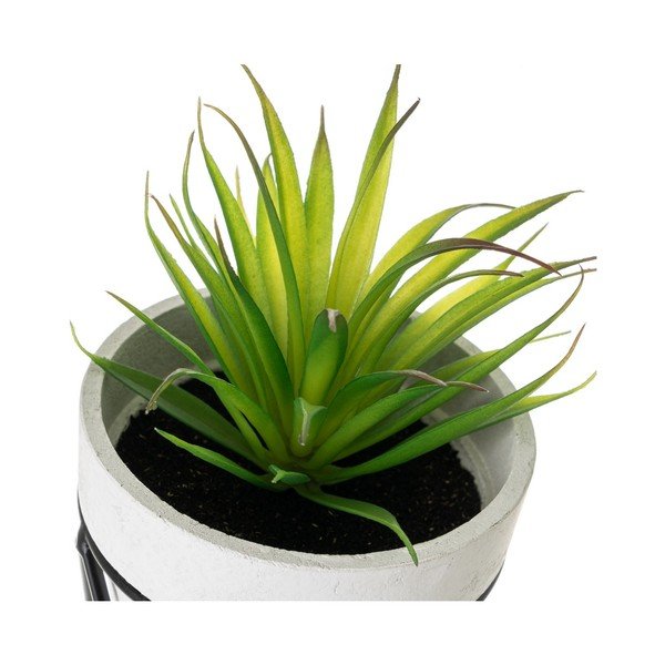 Kunstlikud taimed komplektis 4 - Casa Selección-image-4