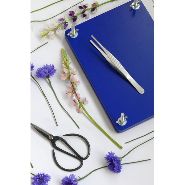 Interaktiivne mänguasi Flower Press Kit - Printworks-image-1