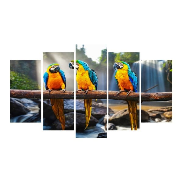 Vícedílný obraz na plátně Animal Parrots