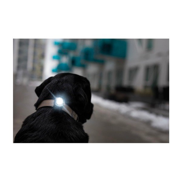 LED-kaelarihm Dark – Orbiloc-image-4