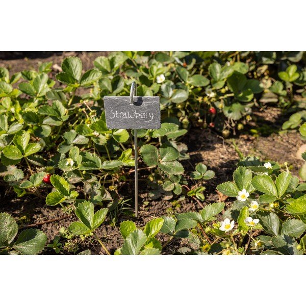 Sildid lilledele komplektis – Esschert Design-image-3