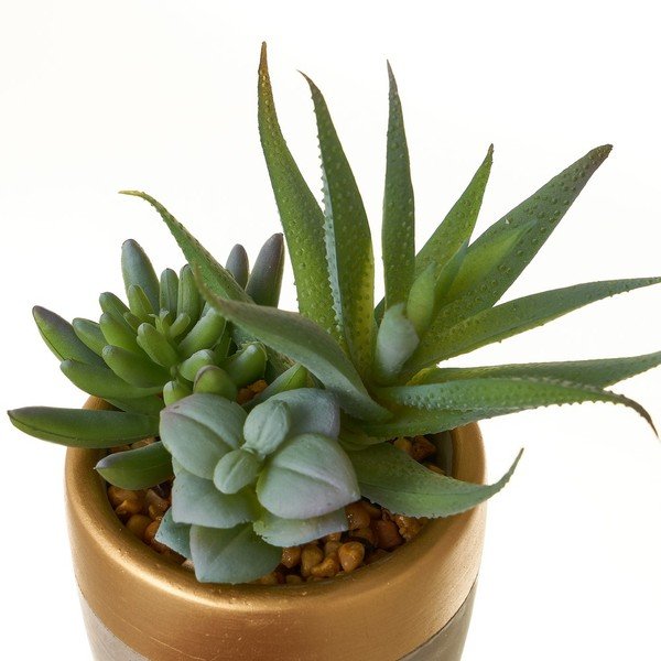 Kunsttaimed komplektis 4 tk (kõrgus 17 cm) Cactus – Casa Selección-image-3