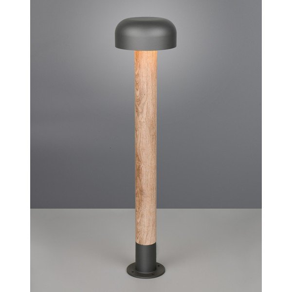 Sammas välisvalgusti ø 19 cm Fraser - Trio-image-1