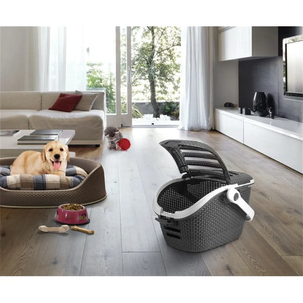 Tumehall loomade transpordikast - Curver-image-1