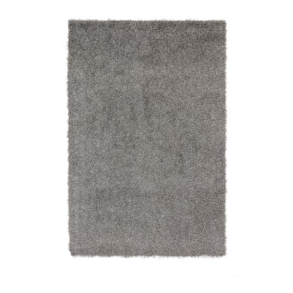 Šedý koberec Denzzo Forlan, 200 x 300 cm