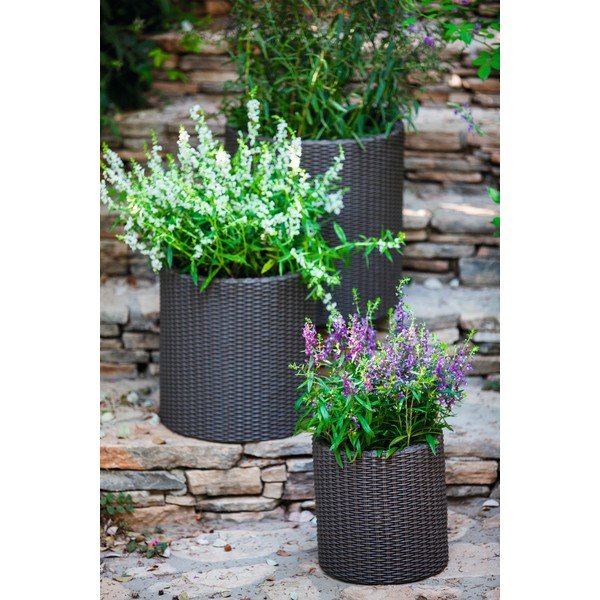 Plastikust pott ø 36 cm - Keter-image-1