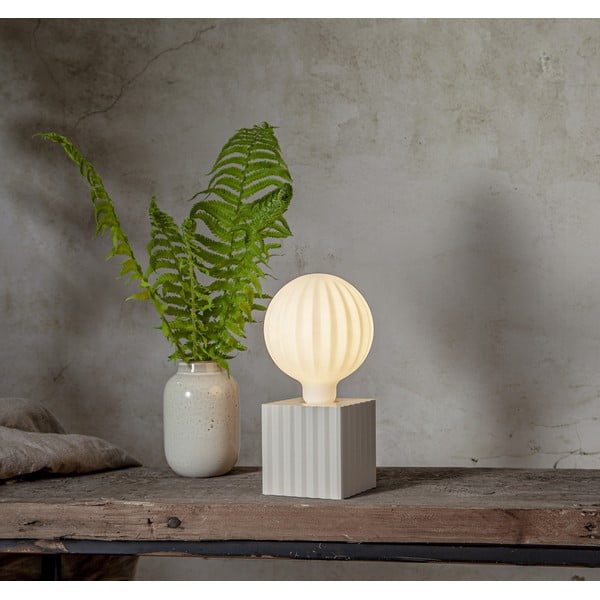 Kreem lambijalg 10 cm Box - Star Trading-image-1