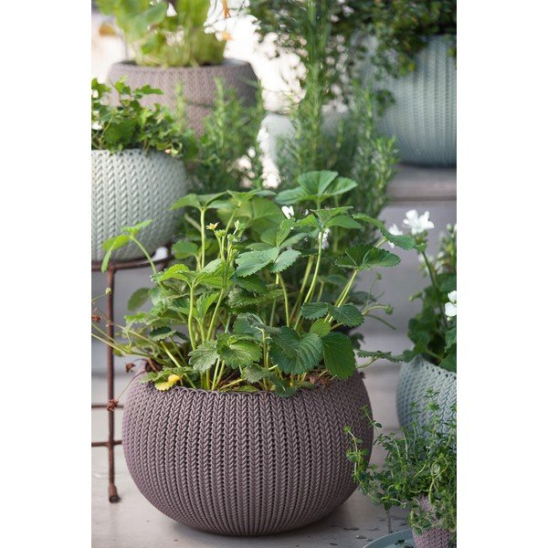 Plastikust rippuv lillepott ø 36 cm Cozy - Keter-image-1