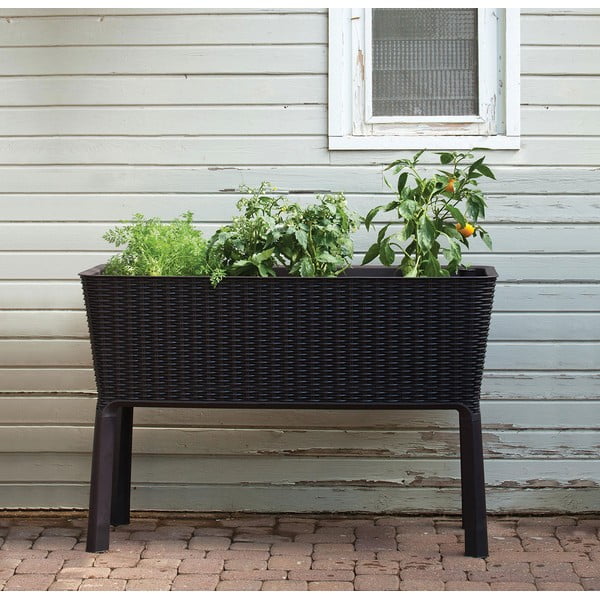 Taimekast Easy Grow - Keter-image-1