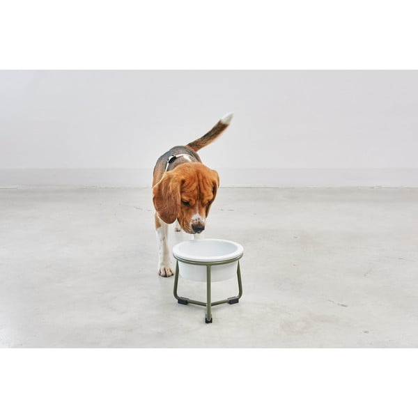 Portselanist koera kauss koos alusega ø 20 cm Pranzo Grolive M - MiaCara-image-2