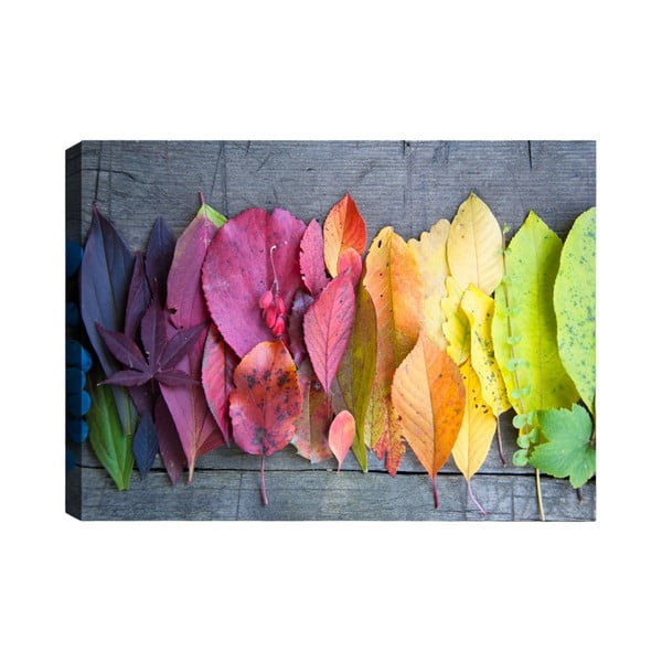 Maal, 100 x 70 cm Autumn Palette - Tablo Center