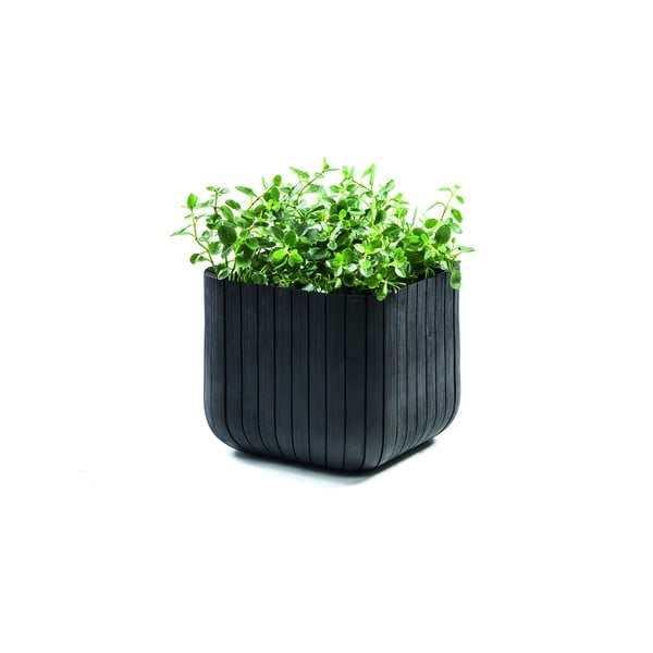 Plastikust lillepott Cube - Keter-image-2
