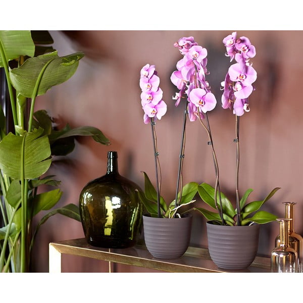 Ümbertöödeldud plastikust lillepott ø 20 cm Havana - Artevasi-image-2