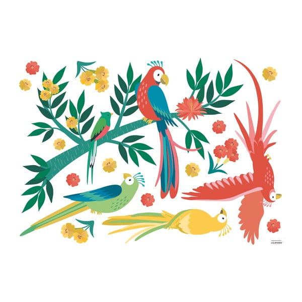 Kleebisleht 90x64 cm Parrots - Lilipinso