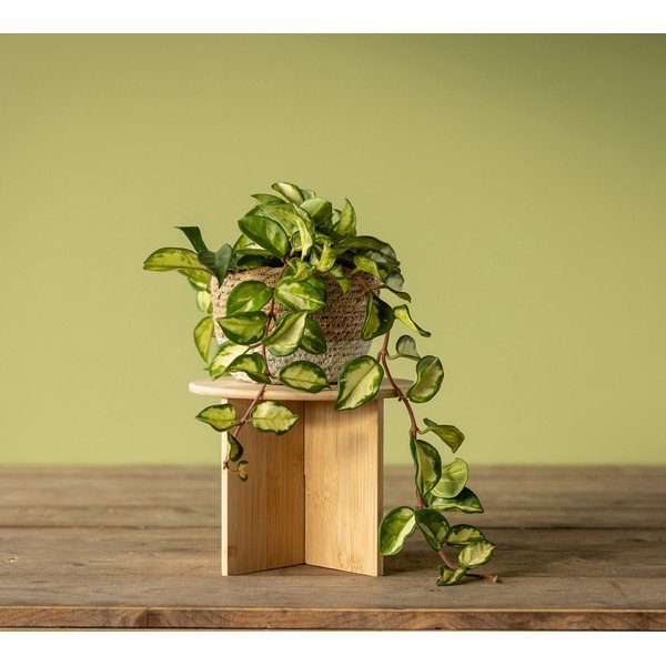 Bambusest lillealus ø 25 cm (kõrgus 19,5 cm) - Esschert Design-image-1