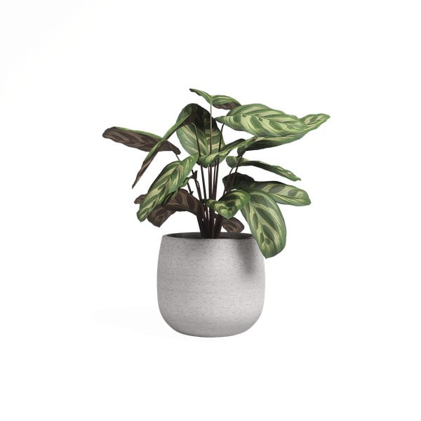 Keraamiline käsitöö lillepott ø 20 cm Hemera - Artevasi-image-4