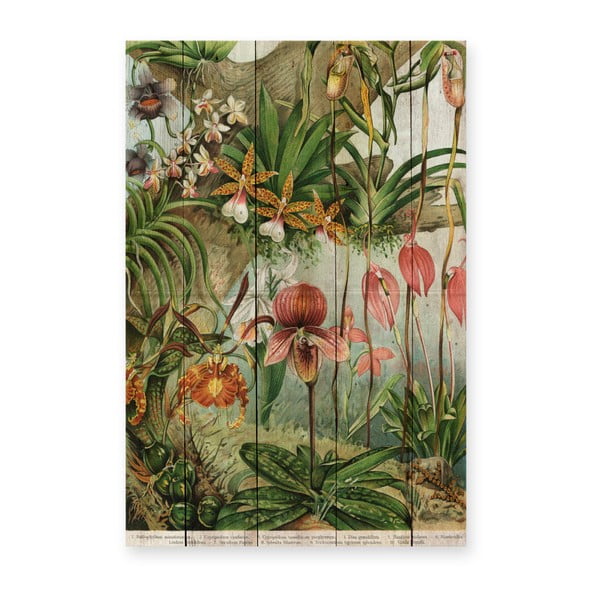 Seinakaunistus männipuidust , 60 x 40 cm Jungle Flowers - Madre Selva