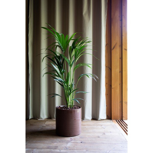 Keraamiline käsitöö lillepoti kaas ø 18 cm Fortuna - Artevasi-image-3