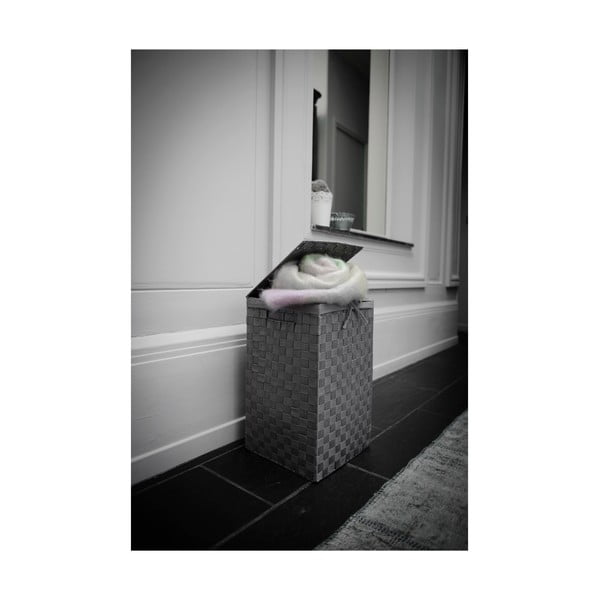 Pesukorv 45 l Stan - Compactor-image-3