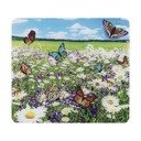 Karastatud klaasist seinakatted pliidi äärde, 2 tk komplektis 50x56 cm - Maximex