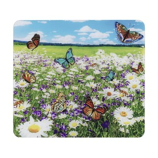 Karastatud klaasist seinakatted pliidi äärde, 2 tk komplektis 50x56 cm - Maximex