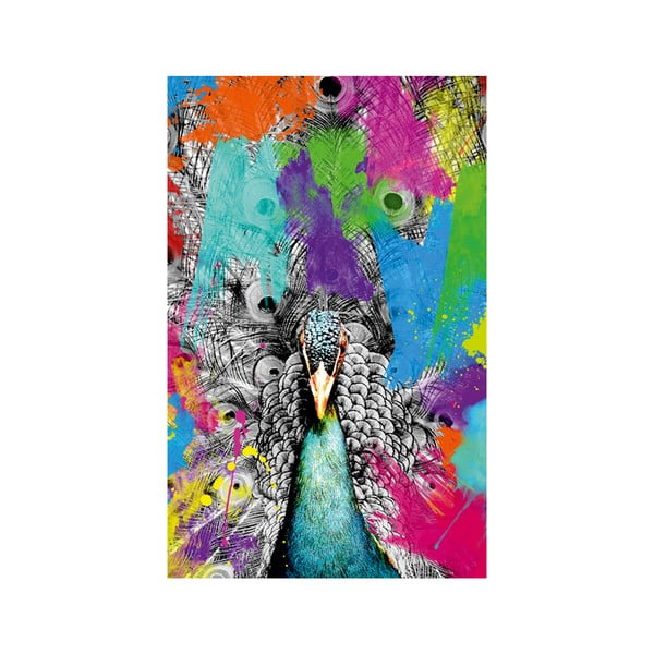 Obraz Proud Peacock, 45 x 70 cm