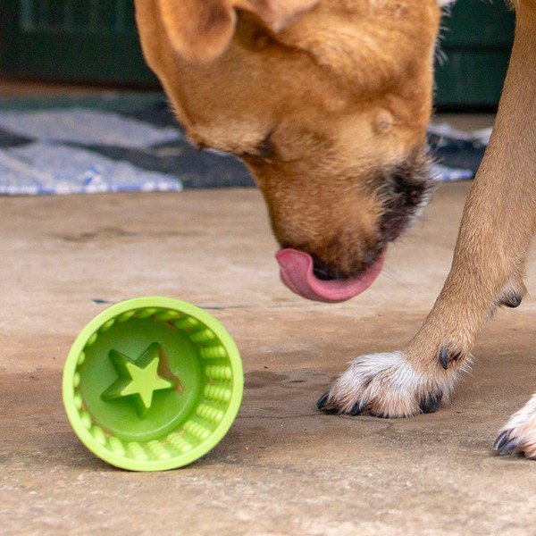 Lakkumiskauss Yoggie Pot Green – LickiMat-image-1