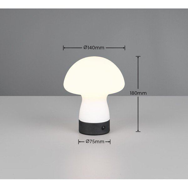 Matt valge LED laualamp klaasist varjuga (kõrgus 18 cm) Dooley - Reality-image-4
