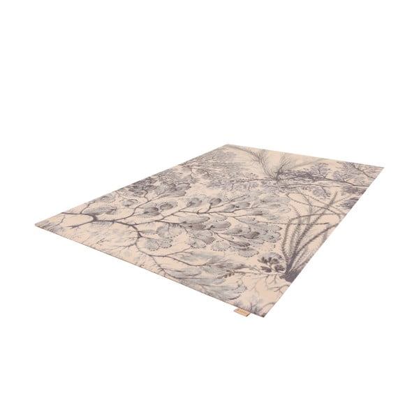 Mündivärvi-beež villane vaip 200x300 cm V&A Calisia Kelp - Agnella-image-3