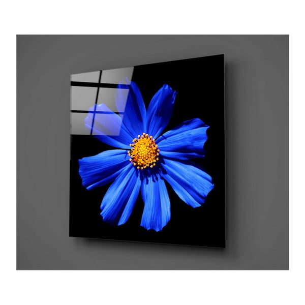 Černo-modrý skleněný obraz Insigne Flowerina, 30 x 30 cm