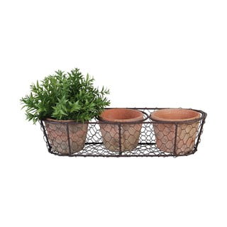 Komplekt 3 terrakotast potti ja traatkorvi - Esschert Design