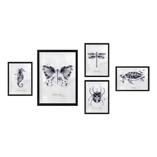 Maalid 5 tk komplektis Butterfly - Wallity