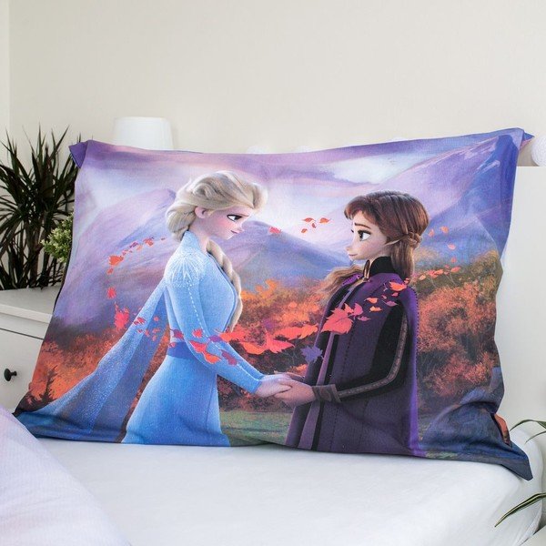 Laste puuvillane voodipesu Wind, 140 x 200 cm Frozen - Jerry Fabrics-image-1