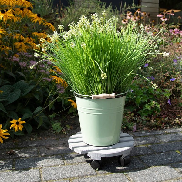 Puidust mobiilne alus lillepottidele ø 29 cm (kõrgus 8 cm) Indoor & Outdoor – Esschert Design-image-1