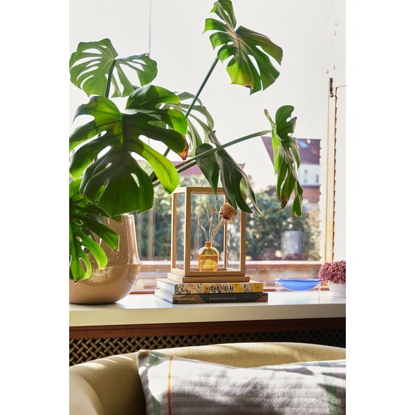 Keraamika lillepoti katted komplektis  2 tk ø 31 cm Vibe – Hübsch-image-4