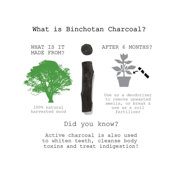 Binchotan pulk , 1 tk Eau Good - Black + Blum-image-1