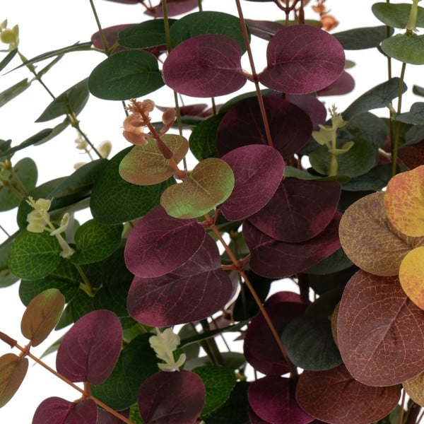 Kunstlik eukalüpt 4 tk (kõrgus 85 cm) - Casa Selección-image-4