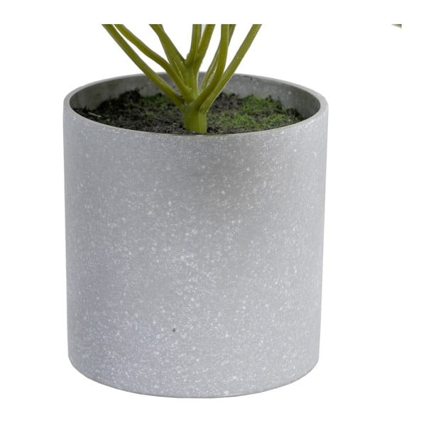 Kunstlik taim (kõrgus 21 cm) Syngonium - Ixia-image-1